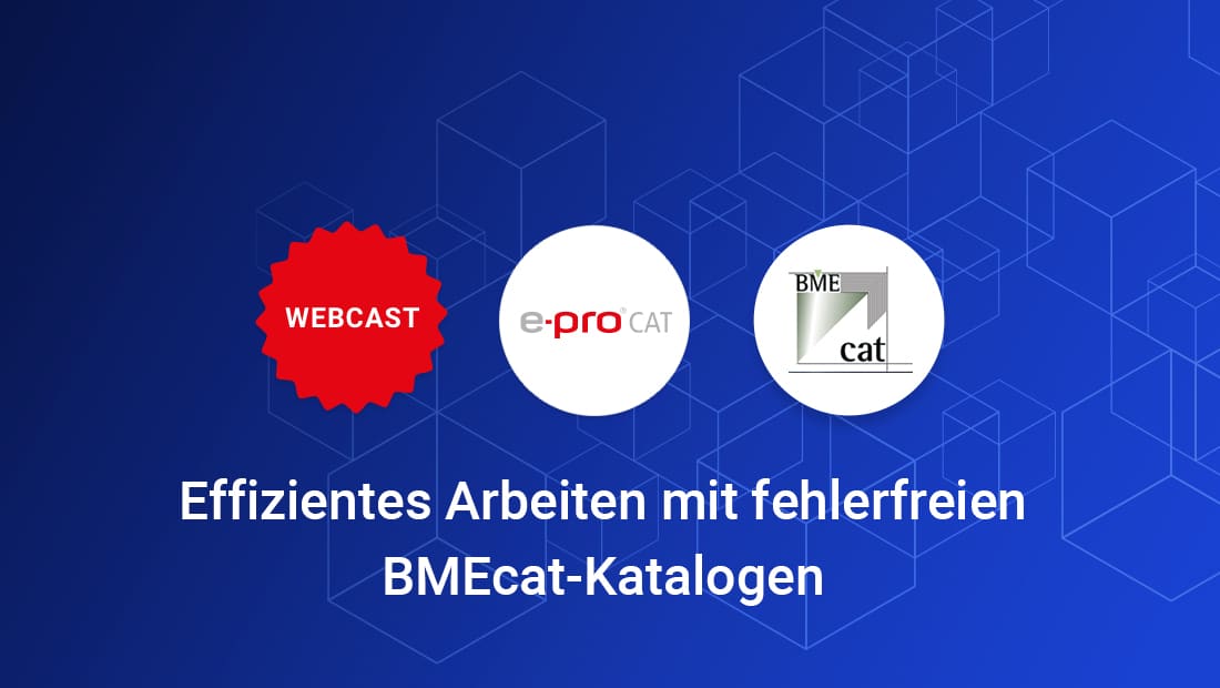 Webcast: Effizientes Arbeiten mit fehlerfreien BMEcat-Katalogen
